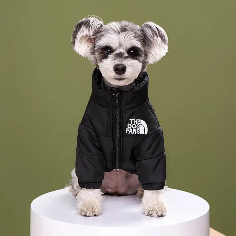 Luxury Fashion Dog Jacket – Autumn and Winter Pet Clothing