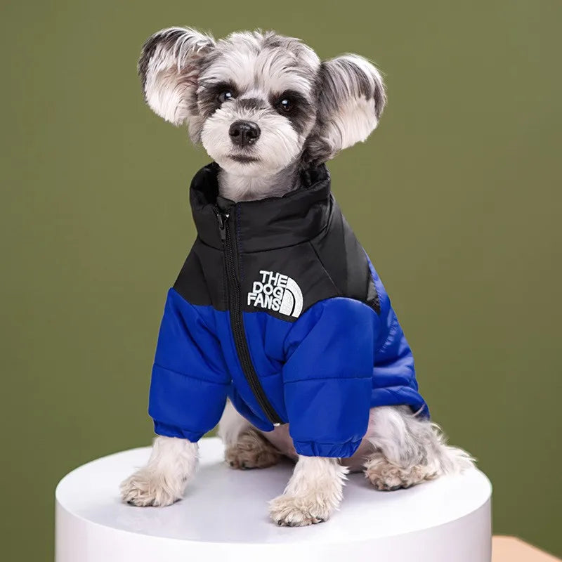 Luxury Fashion Dog Jacket – Autumn and Winter Pet Clothing
